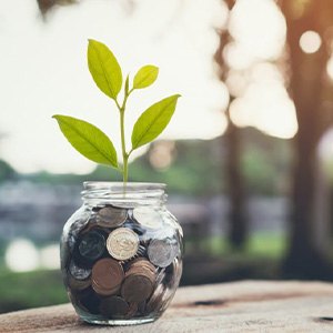 A jar of savings with a plant growing out of it